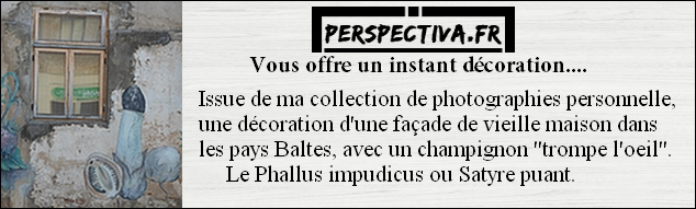 décoration maison bois